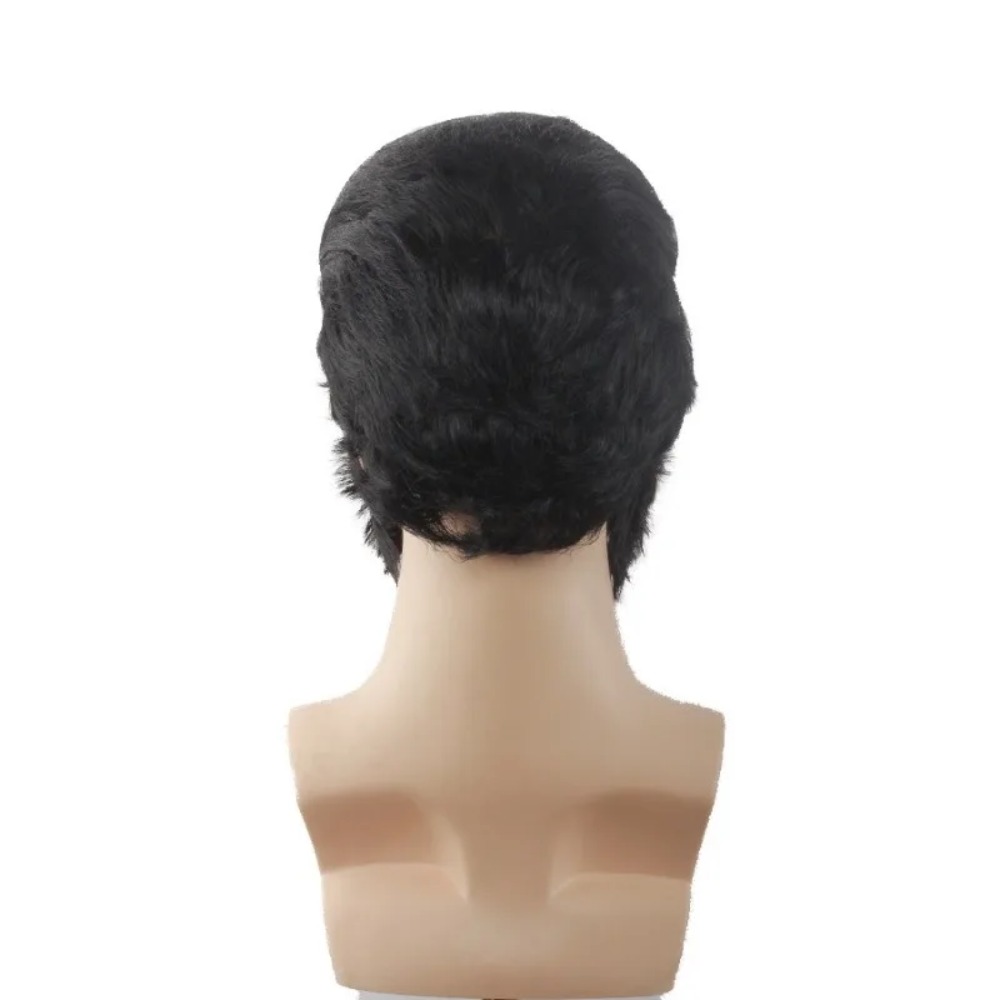 Retro Man Star Cosplay Wig Bla - Men Accessories To Wear review and price